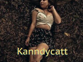Kanndycatt