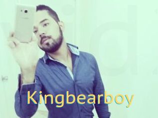 Kingbearboy