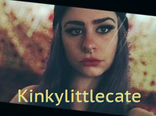 Kinkylittlecate
