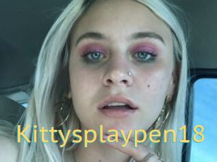 Kittysplaypen18