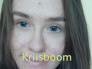Kriisboom