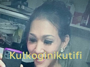 Kulkoginikutifi