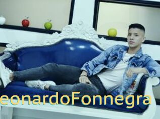 LeonardoFonnegra