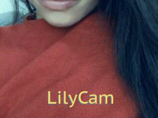 LilyCam