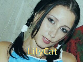 Lily_Cat_