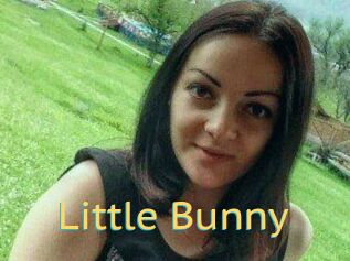 Little_Bunny_