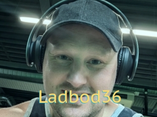 Ladbod36