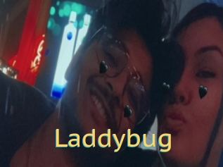 Laddybug