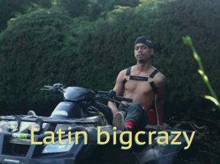 Latin_bigcrazy