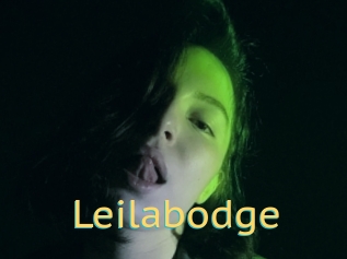 Leilabodge
