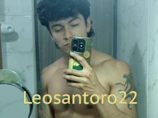Leosantoro22