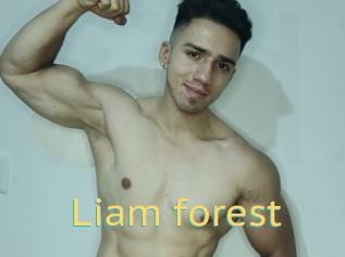 Liam_forest