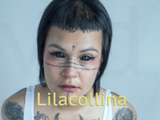 Lilacollina