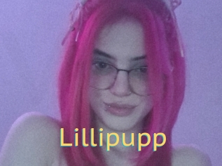 Lillipupp
