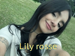 Lily_rosse