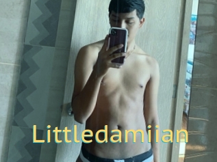 Littledamiian