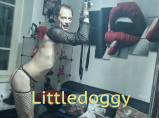 Littledoggy