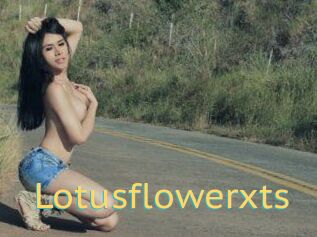 Lotusflowerxts
