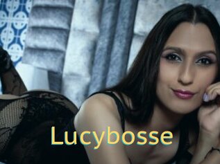 Lucybosse