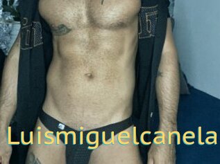 Luismiguelcanela