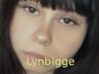 Lynbigge