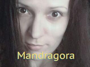 Mandragora