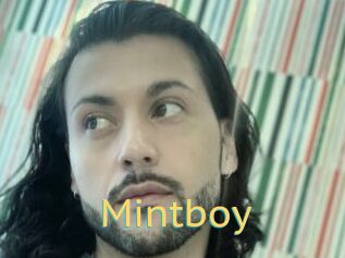Mintboy