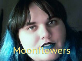 Moonflowers