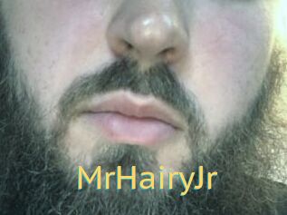 MrHairyJr