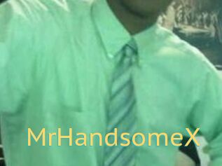 MrHandsomeX