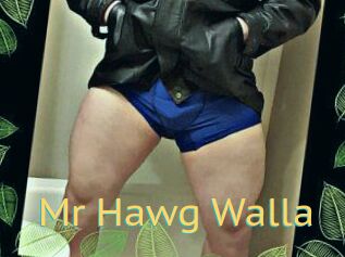 Mr_Hawg_Walla