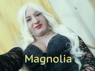 Magnolia