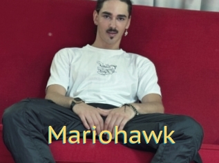 Mariohawk