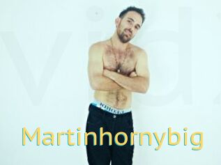 Martinhornybig