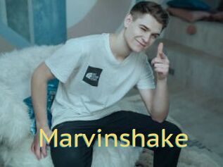 Marvinshake