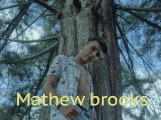 Mathew_brooks