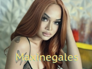 Maxinegales