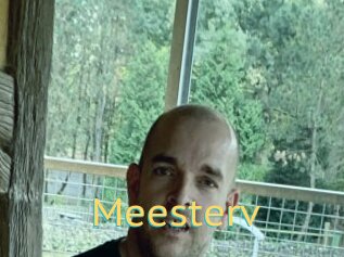 Meesterv