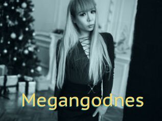 Megangodnes