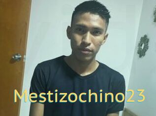 Mestizochino23
