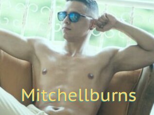 Mitchellburns