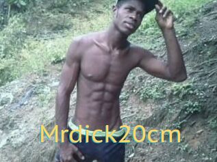 Mrdick20cm