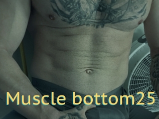 Muscle_bottom25