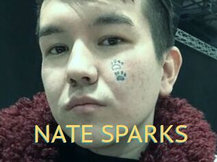 NATE_SPARKS
