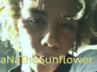 NaNaTheSunflower