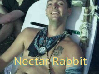 Nectar_Rabbit