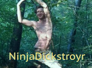 NinjaDickstroyr