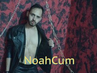NoahCum
