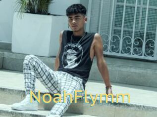 NoahFlymm