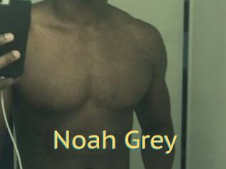Noah_Grey